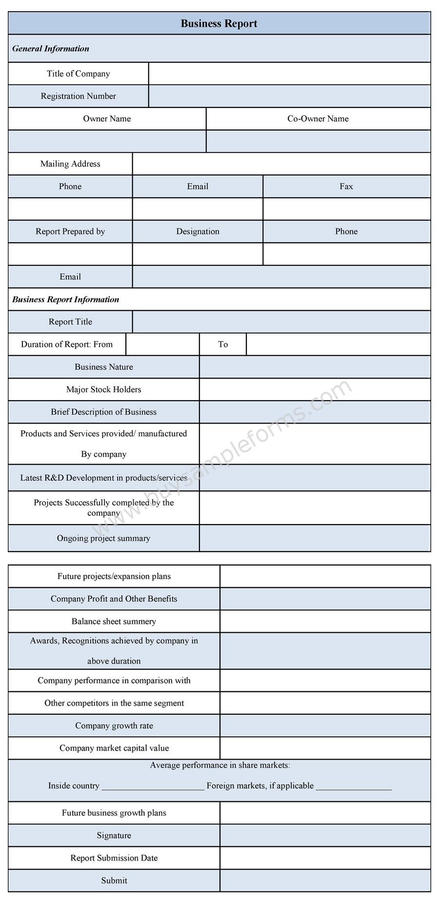Business Report Form