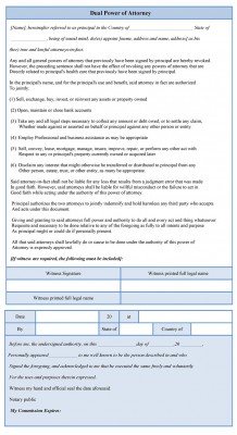 Dual Power of Attorney Form