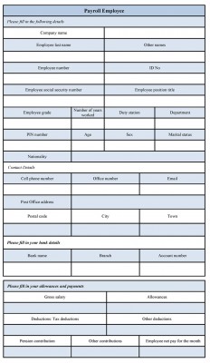 Payroll Employee Form Employee Payroll Format Payroll Employee Form Employee Payroll Format