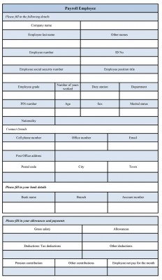 employee payroll forms template