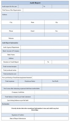 Audit Report Form sample