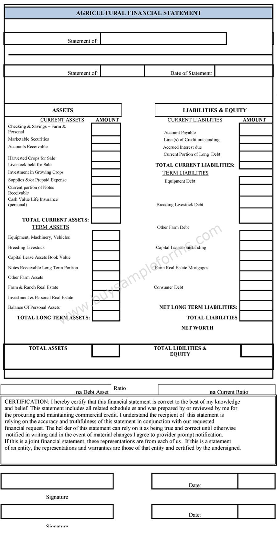 Agricultural Financial Statement Form