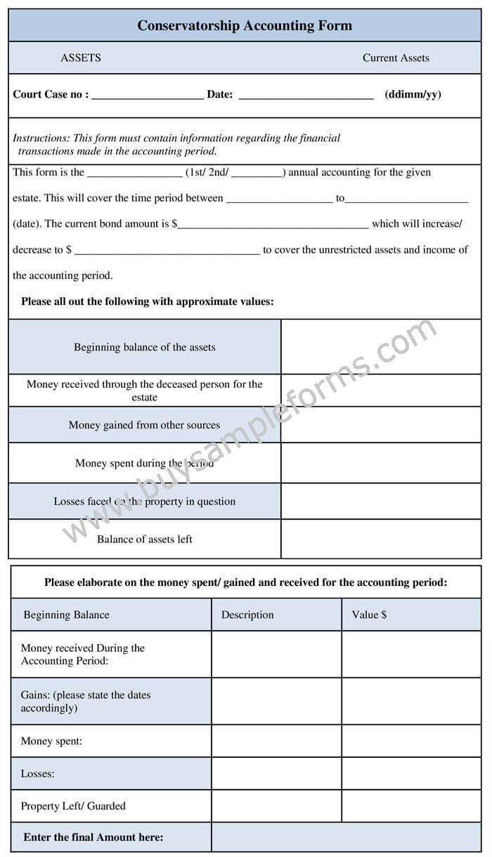 Conservatorship Accounting Form