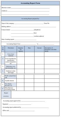 Accounting Report Form Template, Example, Format